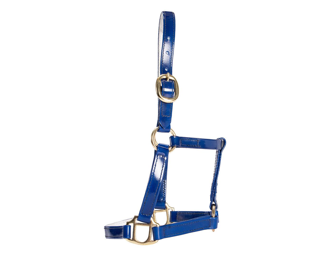 Horse Sense Mini Halter - Image 7