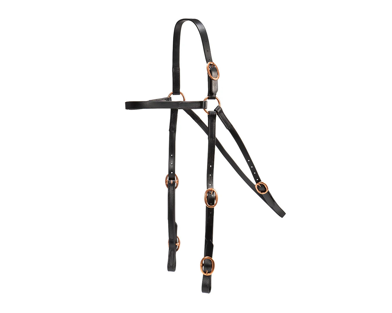 Horse Sense Race Barcoo Bridle