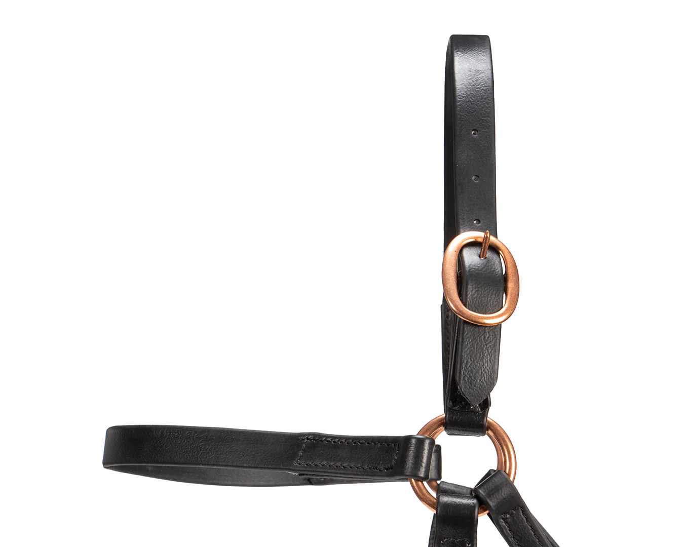 Horse Sense Race Barcoo Bridle - Image 11