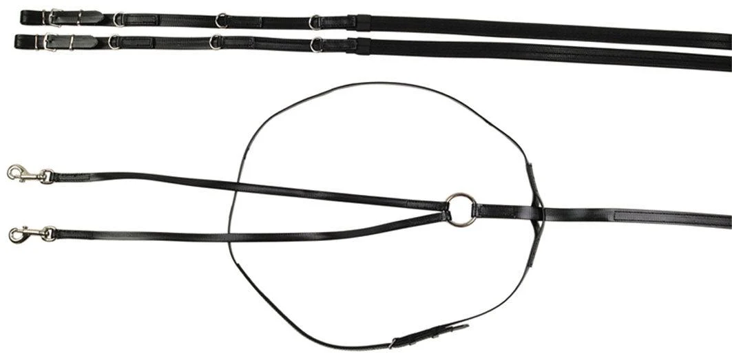 Horse Sense Training Control Martingale and Rein Set