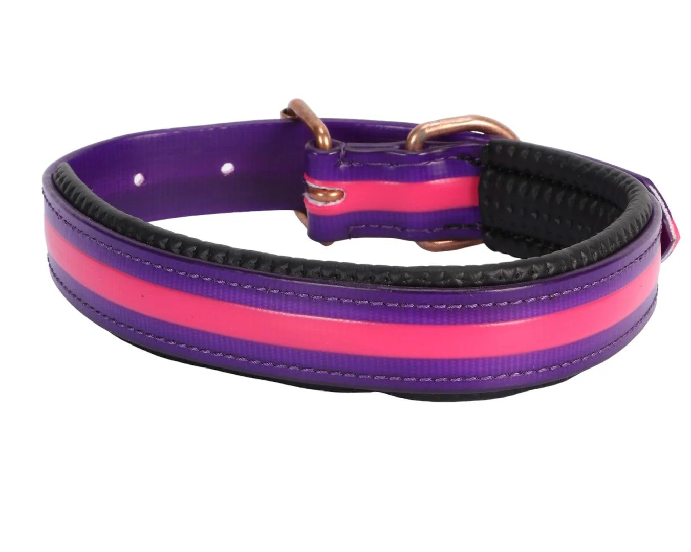 Horse Sense Two Tone Dog Collar - Pink & Purple - Image 2