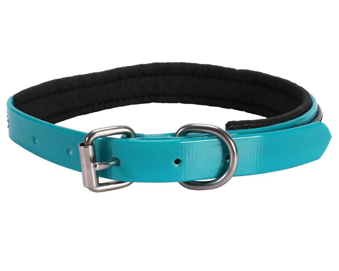 Horse Sense Two Tone Dog Collar - Turquoise & Black