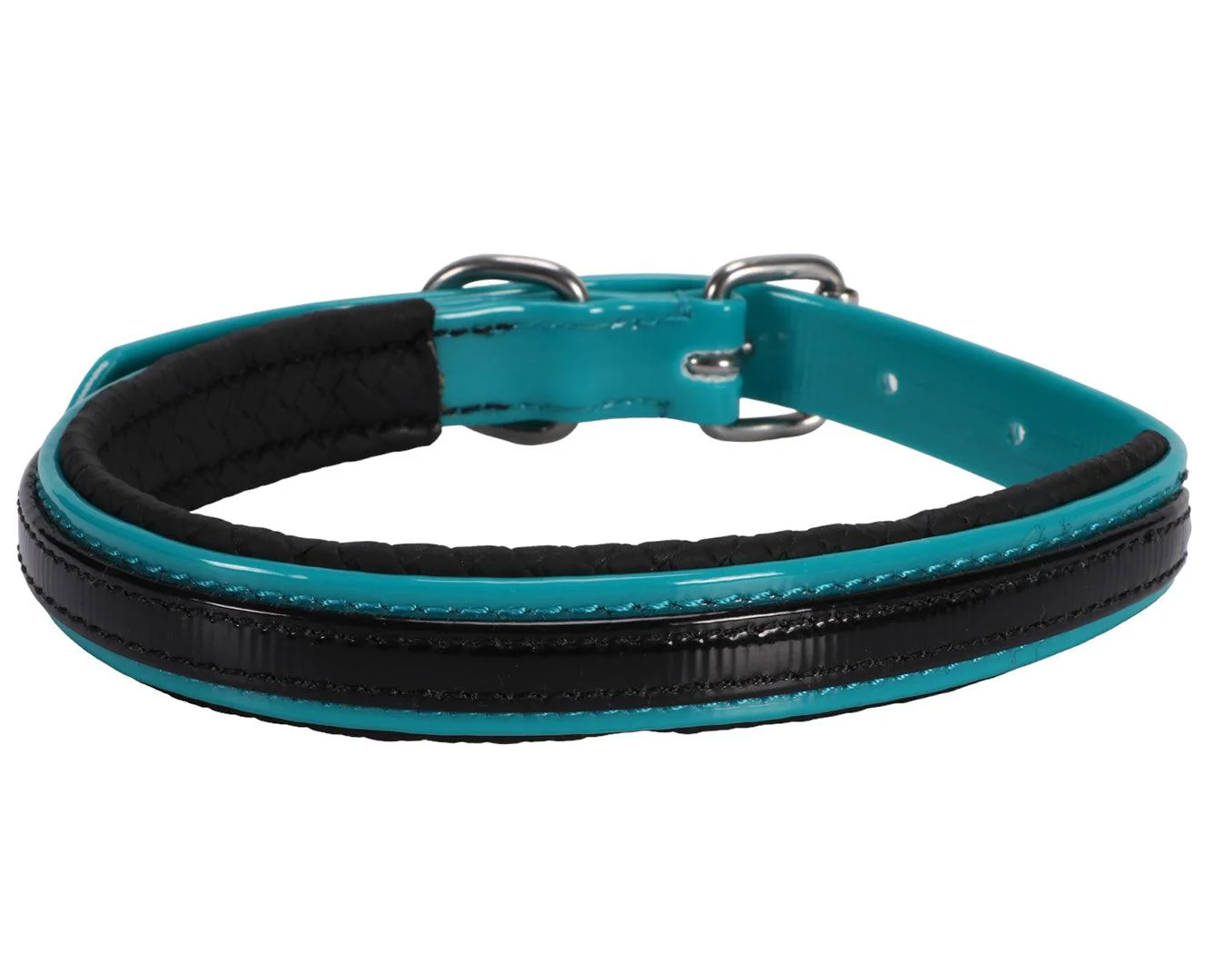 Horse Sense Two Tone Dog Collar - Turquoise & Black - Image 2