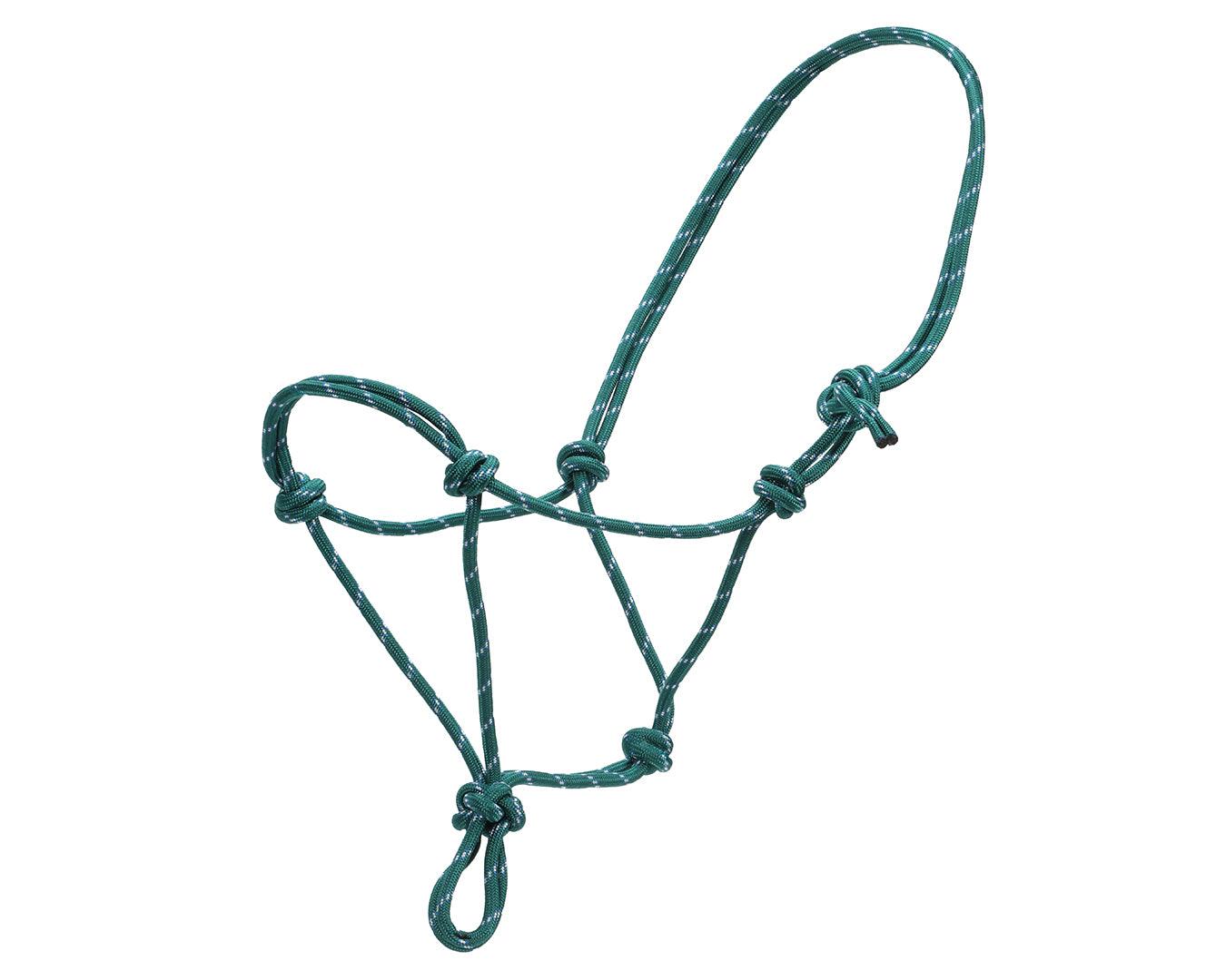 Horsemanship Halter - Image 6