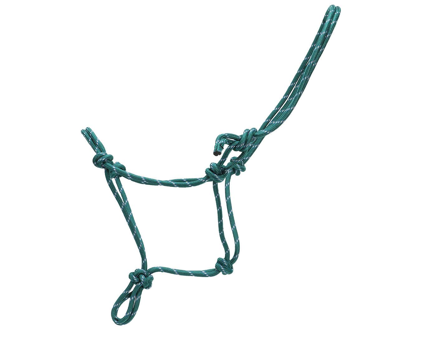 Horsemanship Halter - Image 7