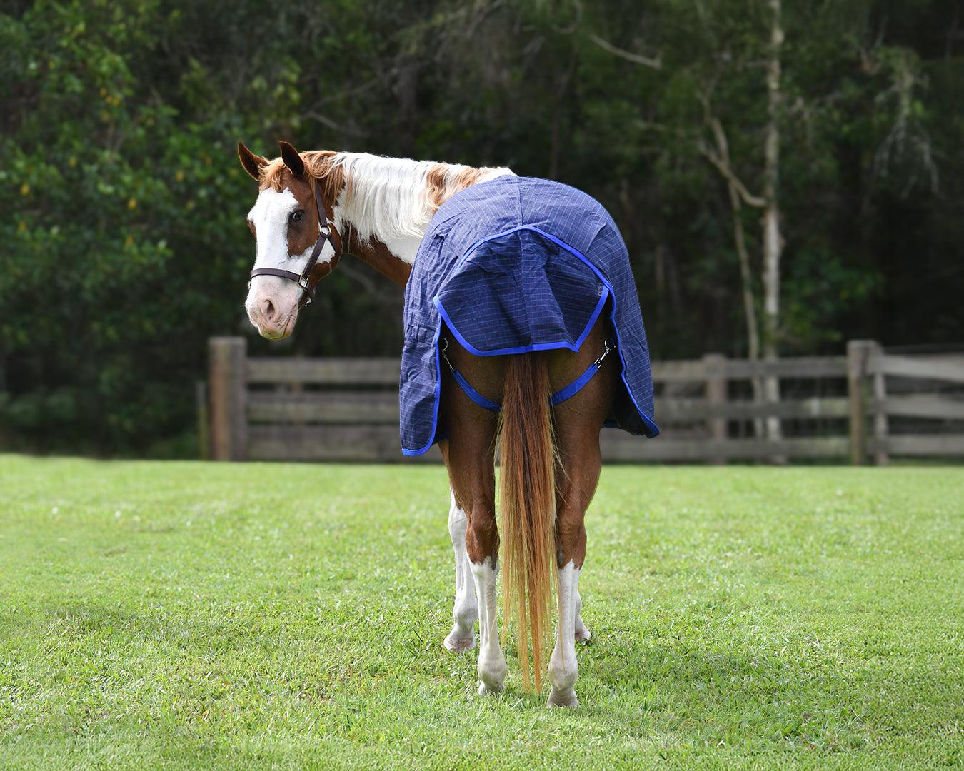 Horsemaster Ripstop Canvas 200G Fill Horse Rug - Image 6