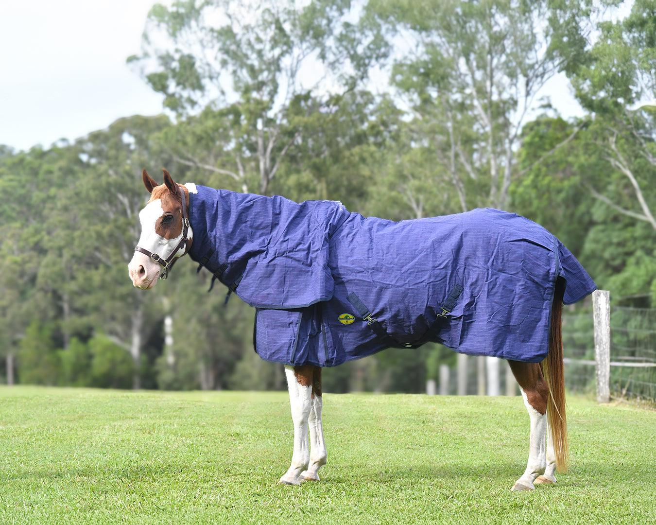 Horsemaster Ripstop Canvas 200G Fill Combo - Image 5