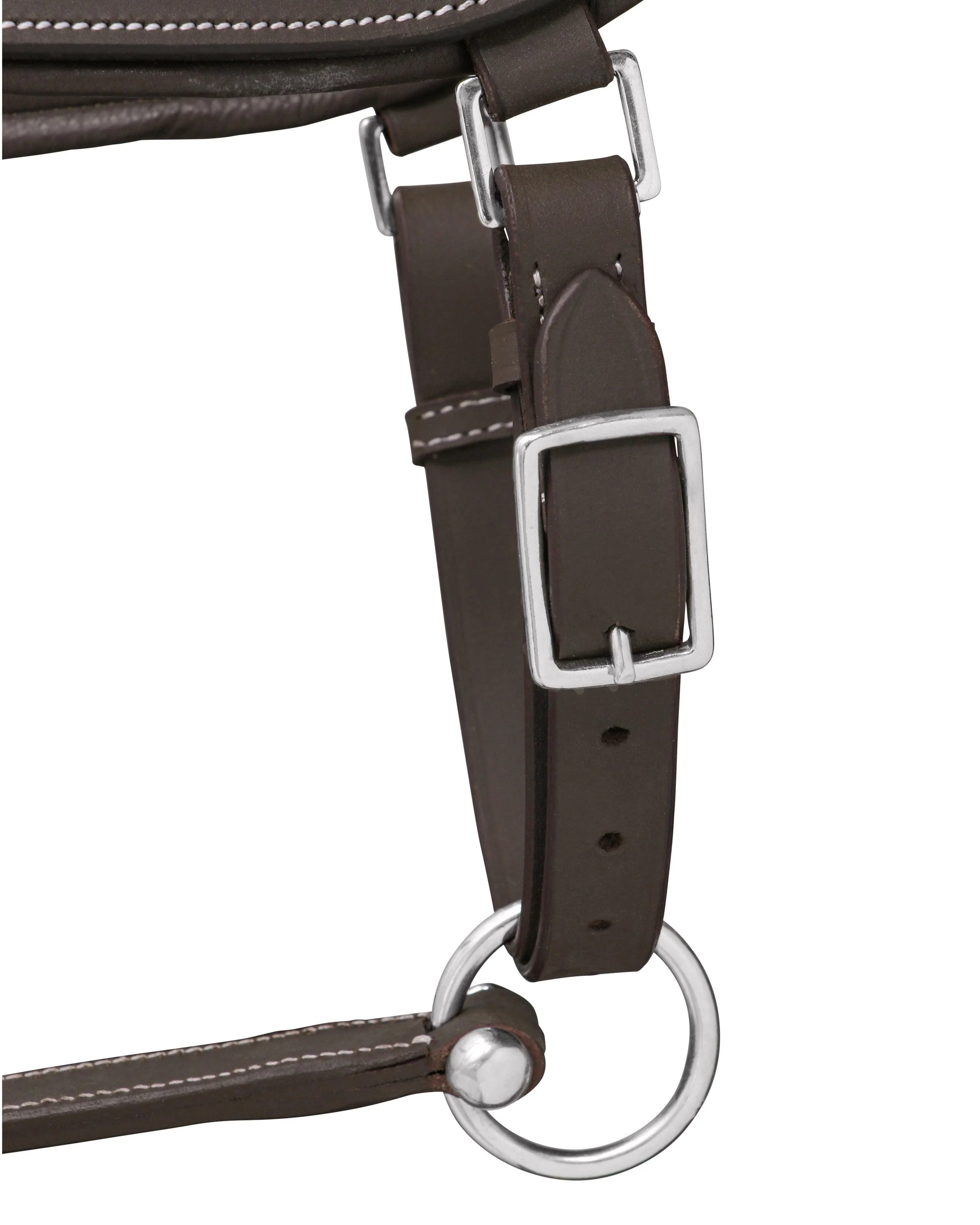 Jeremy & Lord Comfort Halter - Image 10