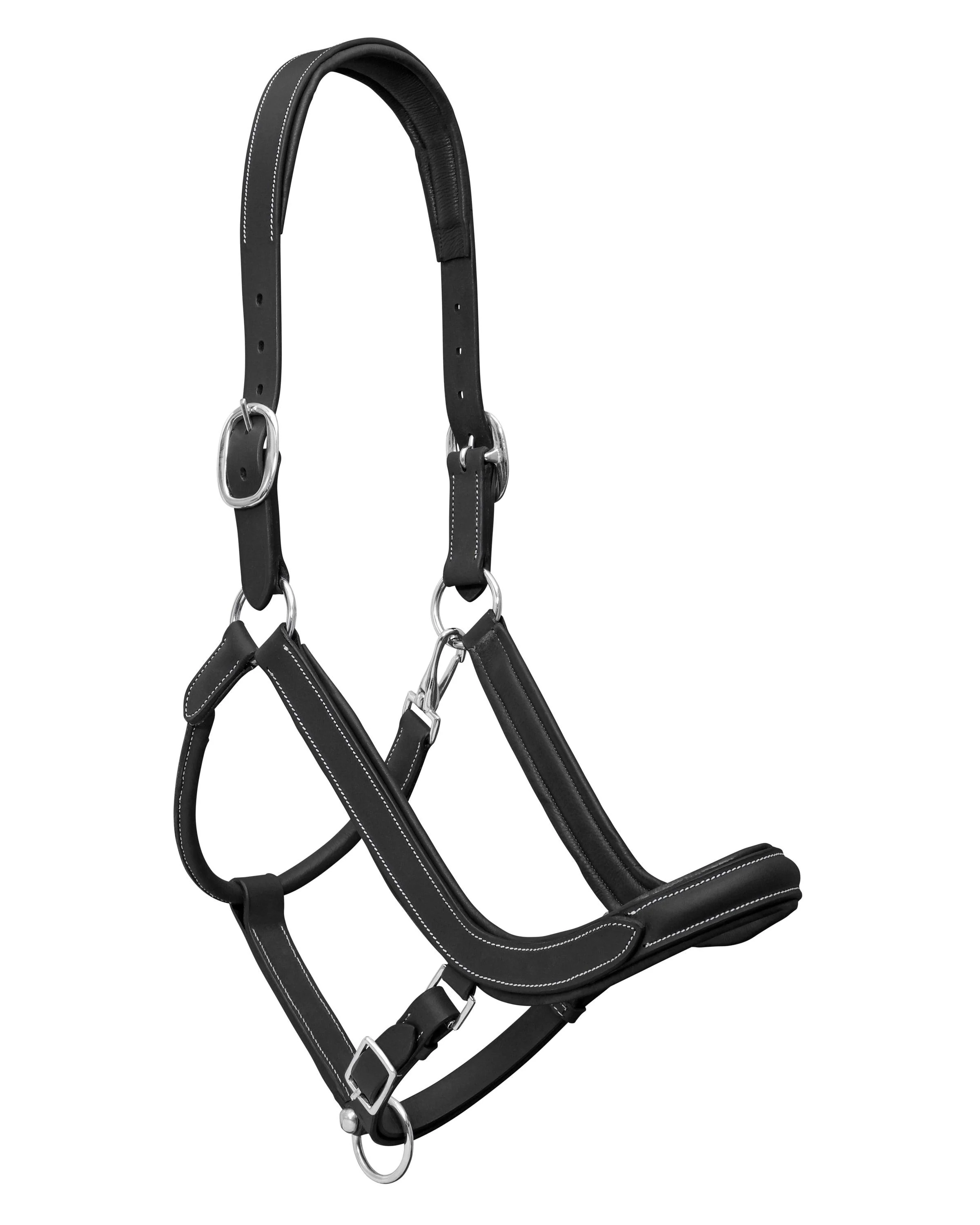 Jeremy & Lord Comfort Halter - Image 2