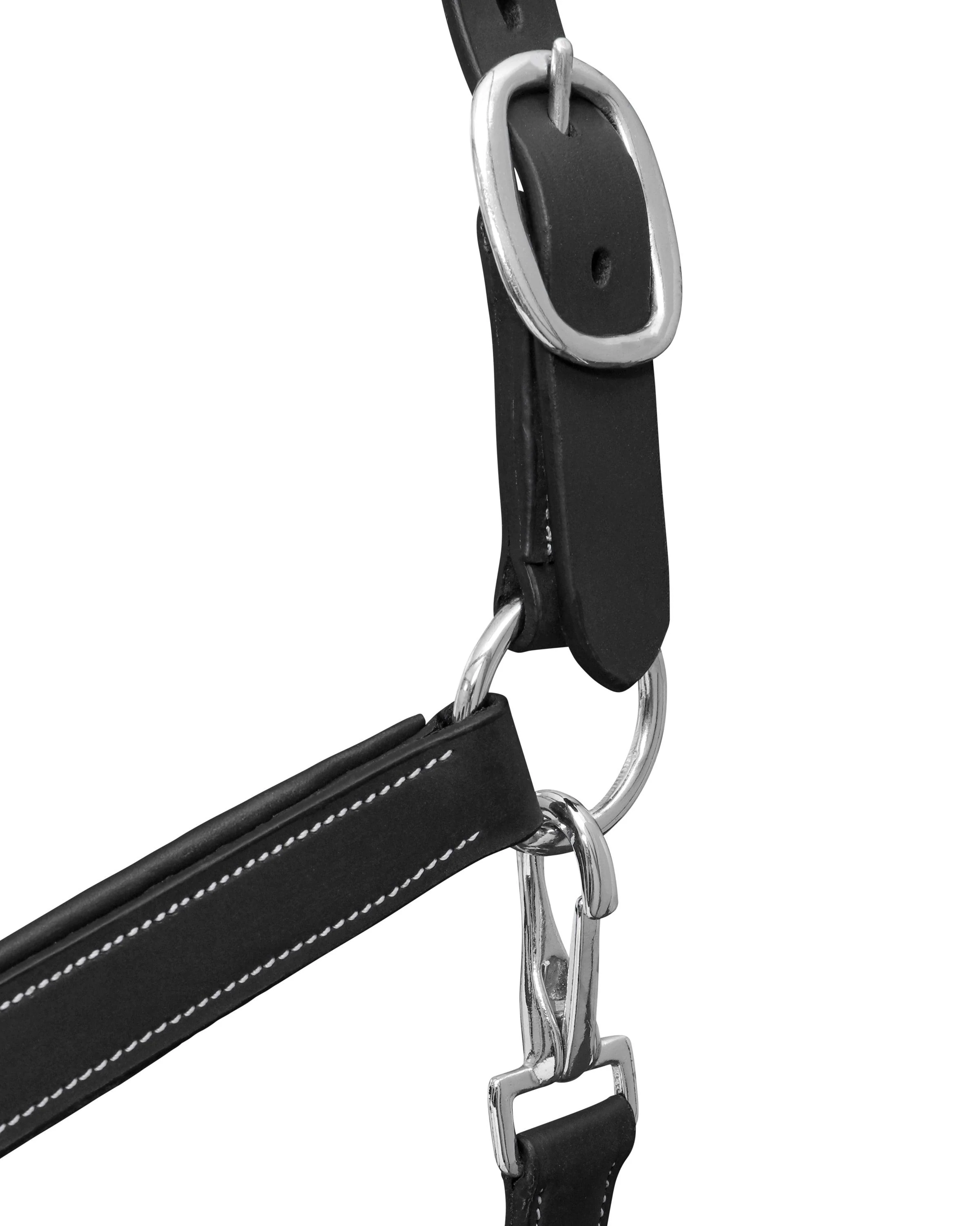 Jeremy & Lord Comfort Halter - Image 3