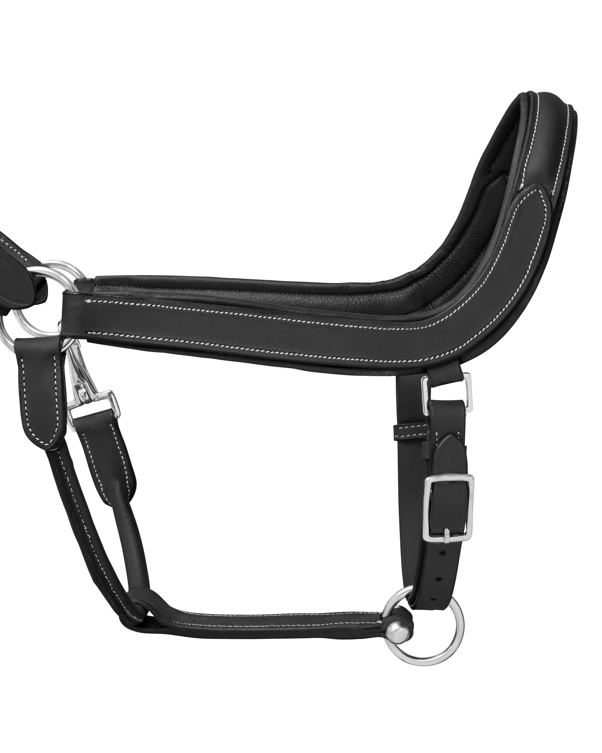 Jeremy & Lord Comfort Halter - Image 4