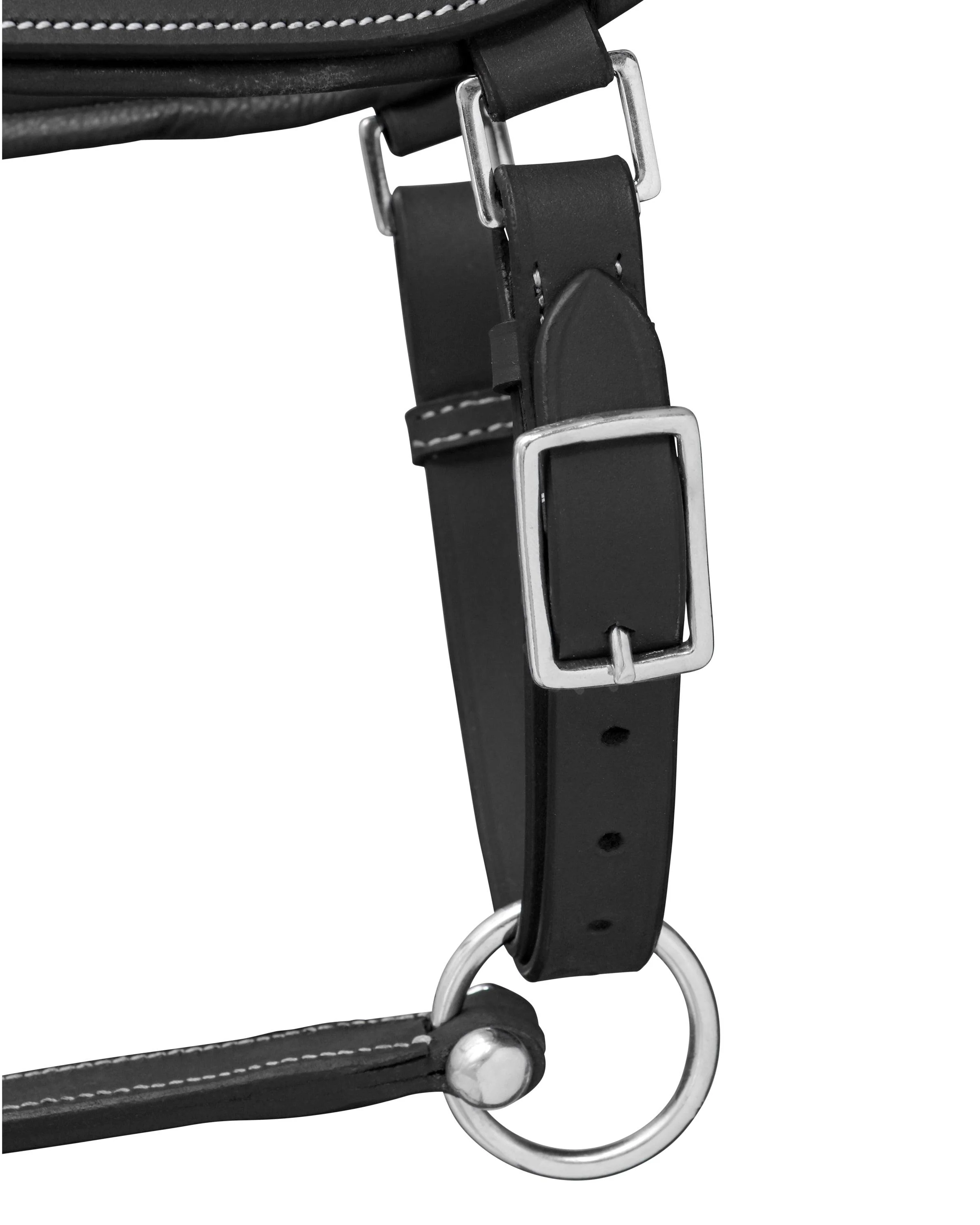 Jeremy & Lord Comfort Halter - Image 5