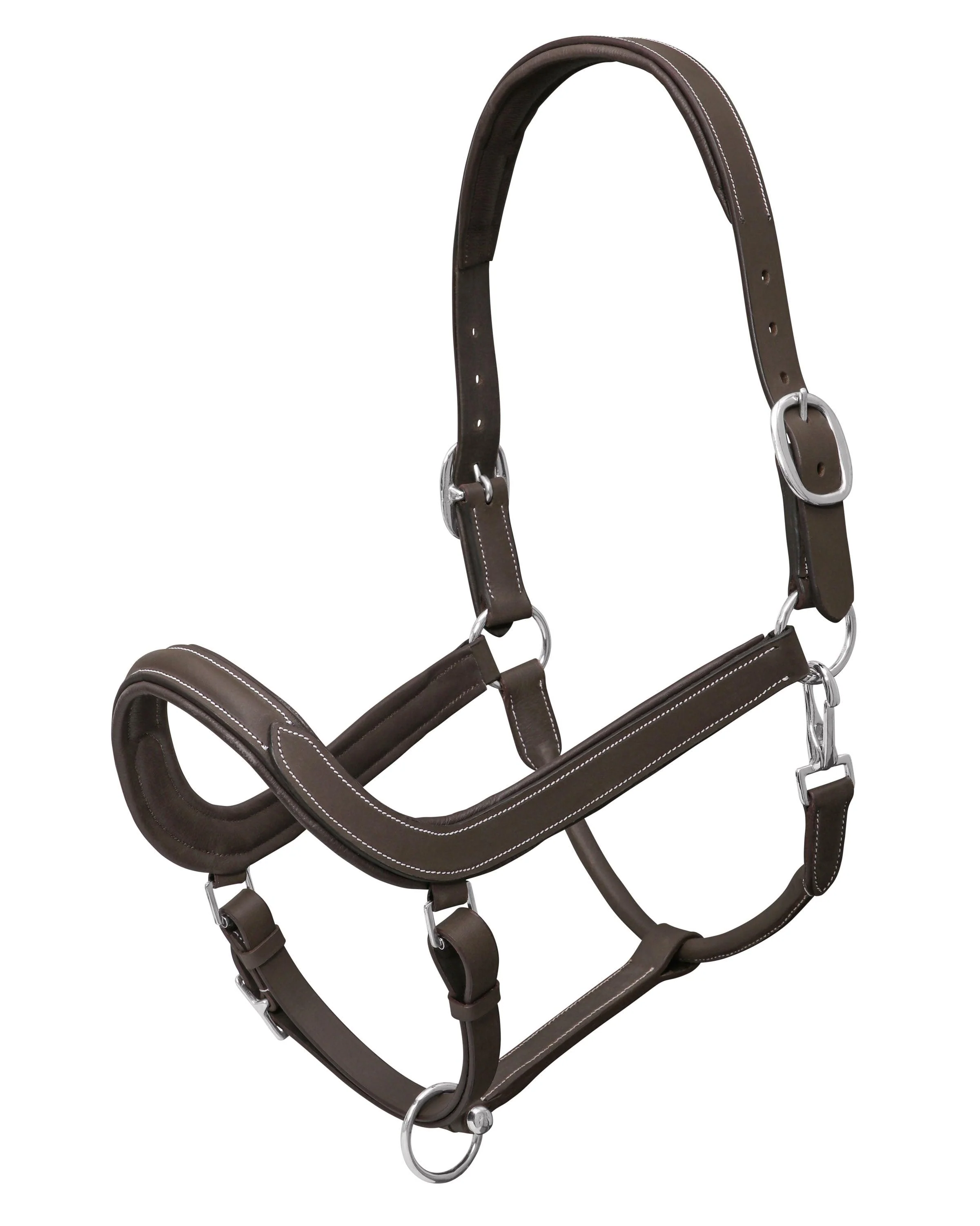 Jeremy & Lord Comfort Halter - Image 6
