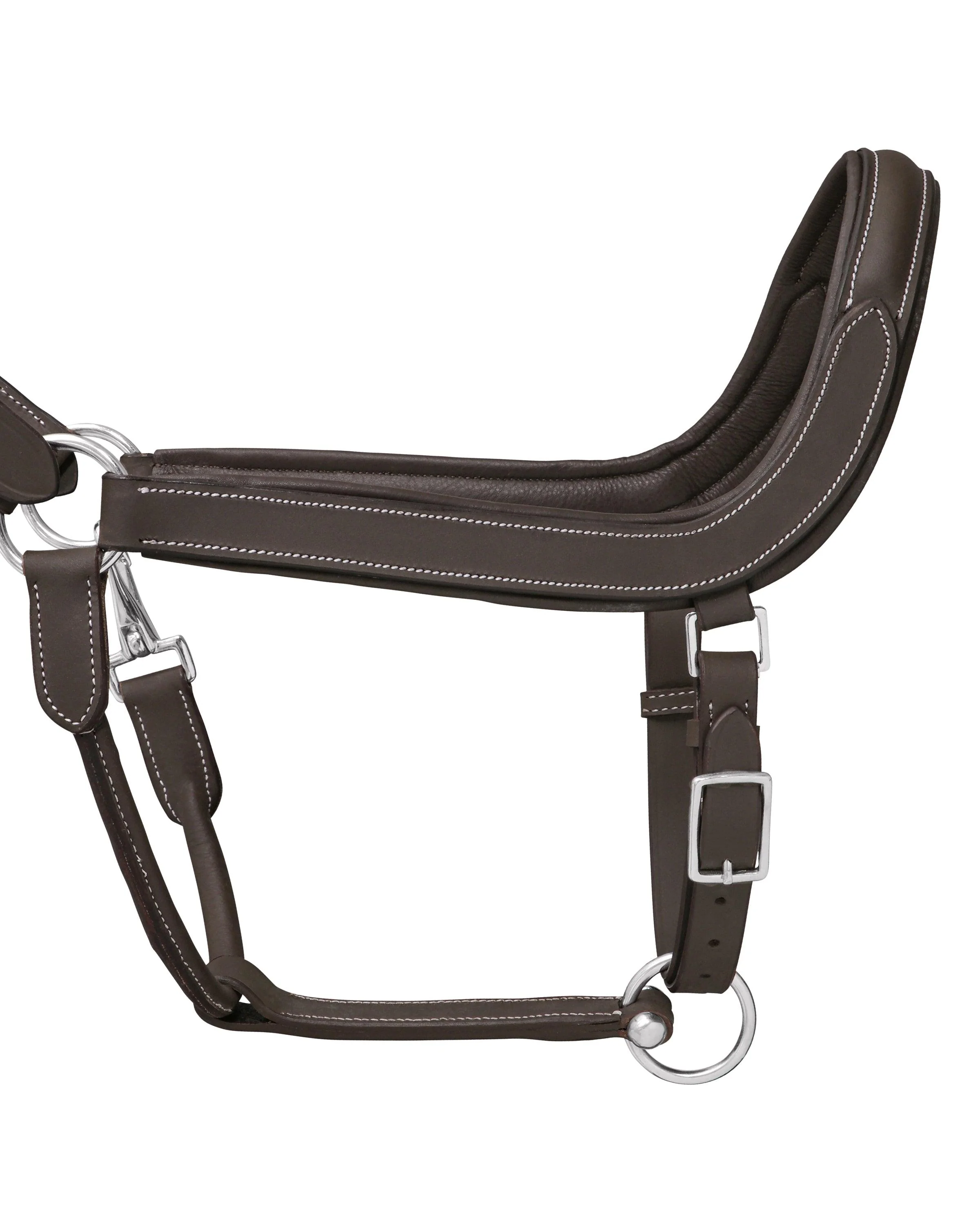 Jeremy & Lord Comfort Halter - Image 9