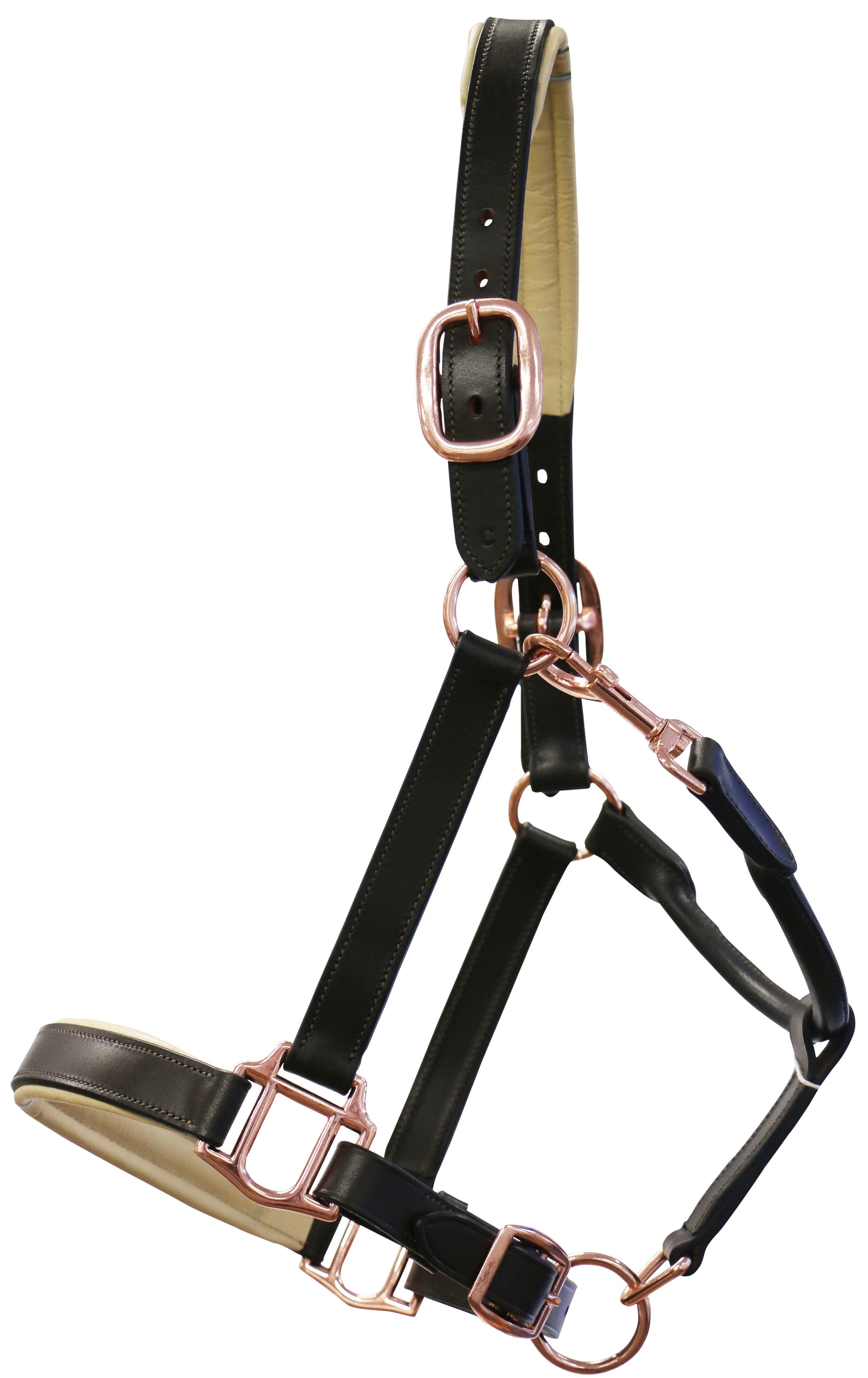 Jeremy & Lord Padded Leather Halter w/Rose Gold Fittings - Image 2