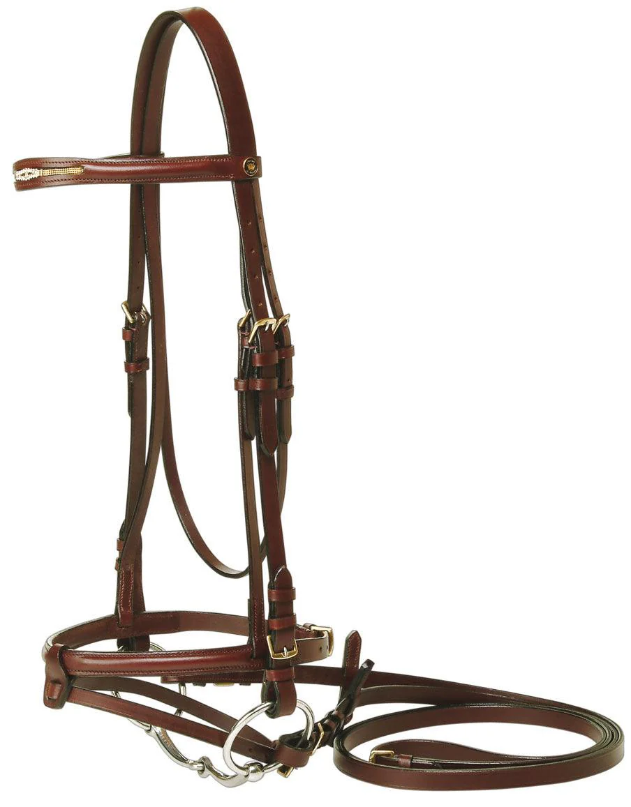 Jeremy & Lord Prestige Bridle - Image 5