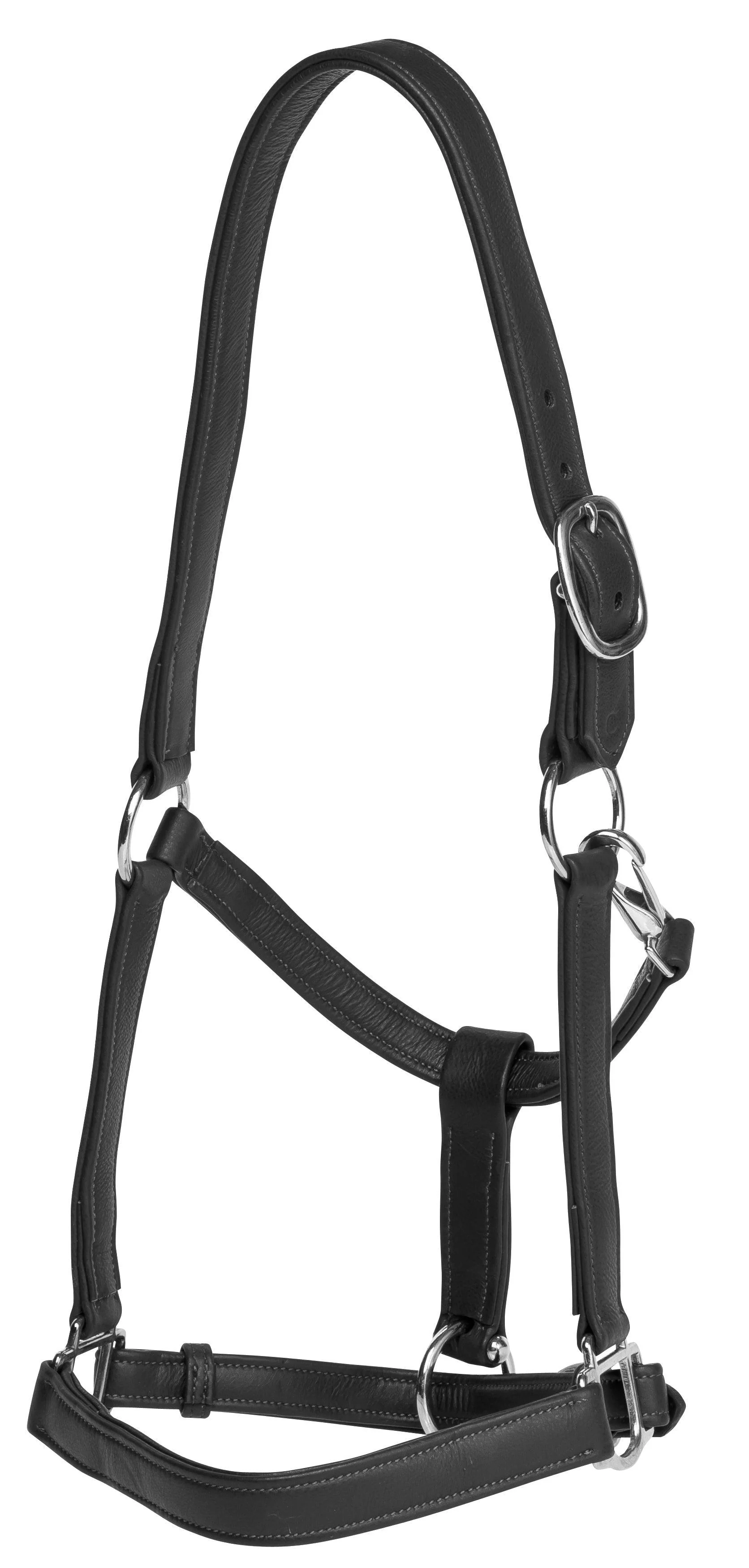 Jeremy & Lord Soft Touch Halter