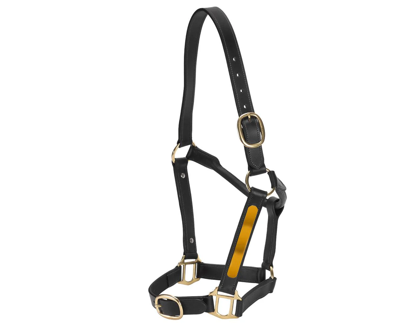 Jeremy & Lord Thoroughbred Halter w/Nameplate