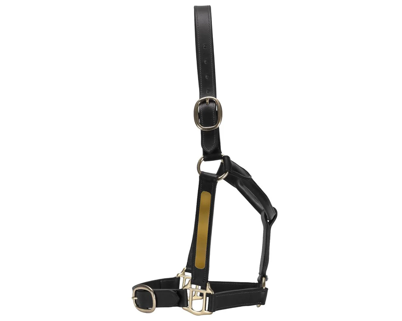 Jeremy & Lord Thoroughbred Halter w/Nameplate - Image 2