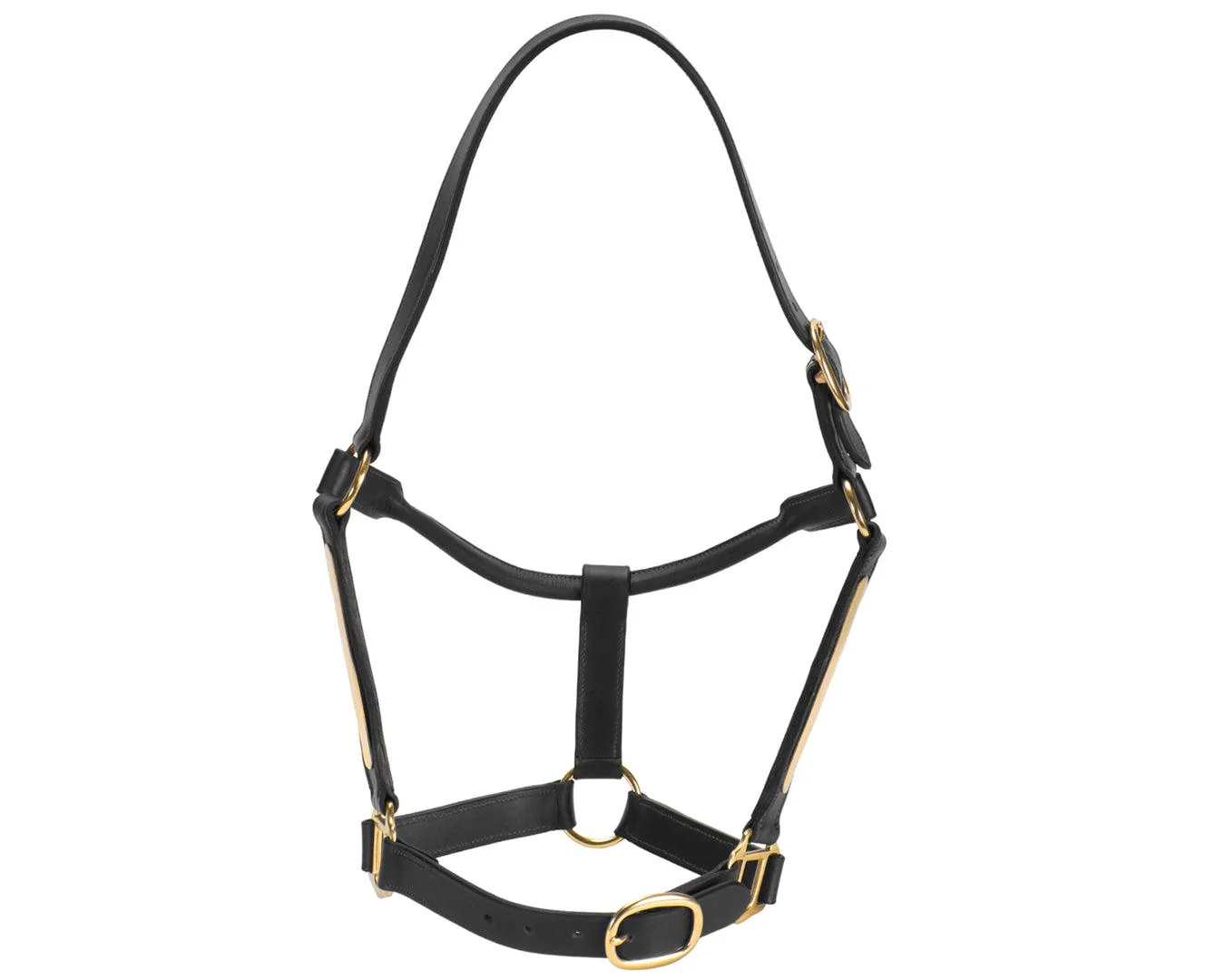 Jeremy & Lord Thoroughbred Halter w/Nameplate - Image 3