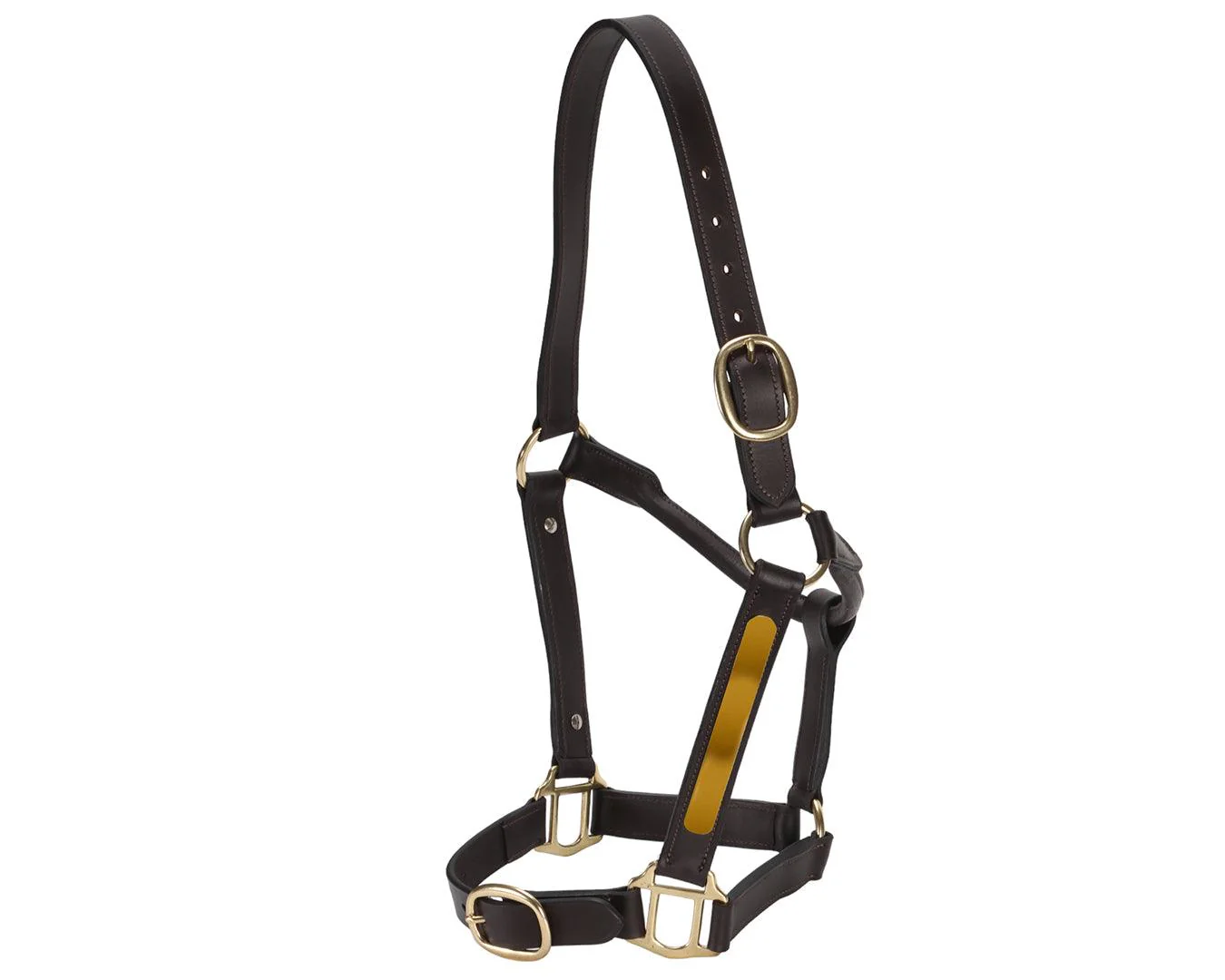 Jeremy & Lord Thoroughbred Halter w/Nameplate - Image 5