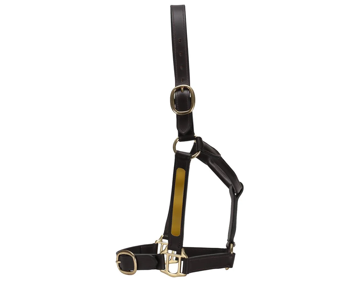 Jeremy & Lord Thoroughbred Halter w/Nameplate - Image 6