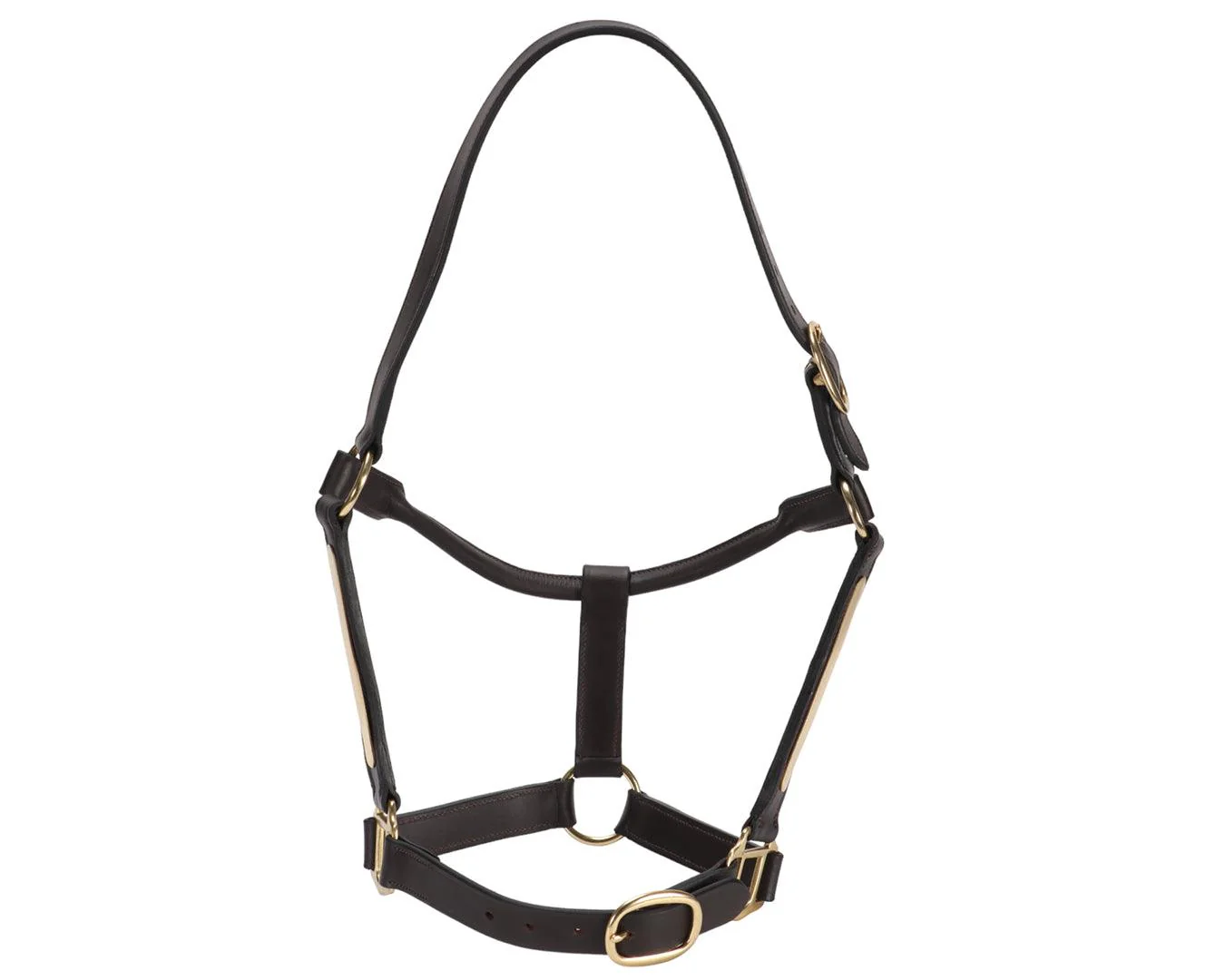 Jeremy & Lord Thoroughbred Halter w/Nameplate - Image 7