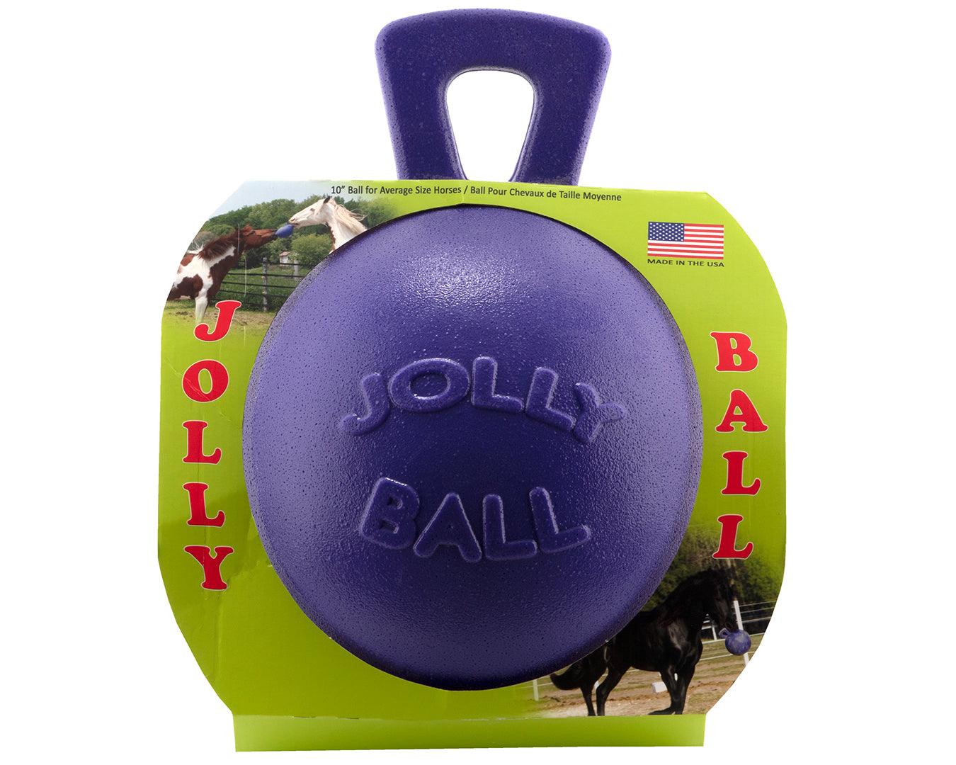 Jolly Ball Horse Play Ball - 10" - Image 8