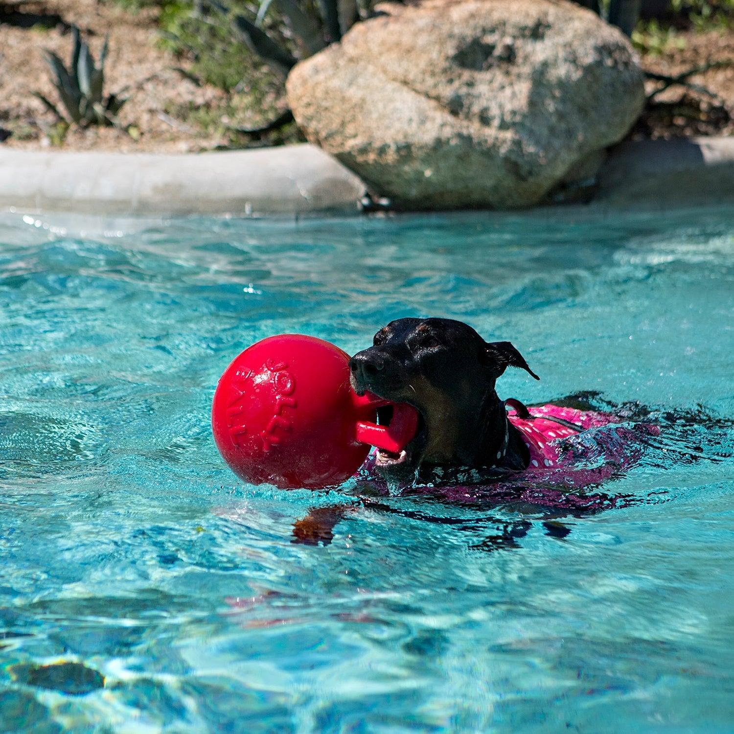 Jolly Pets Tug N Toss Ball - Image 4
