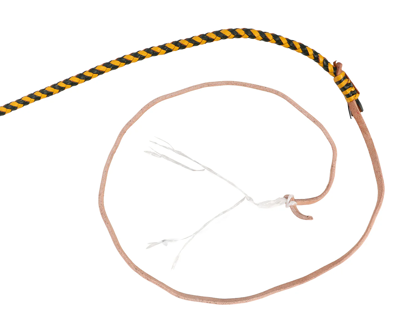Kangaroo Stockwhip The Aussie - Image 5