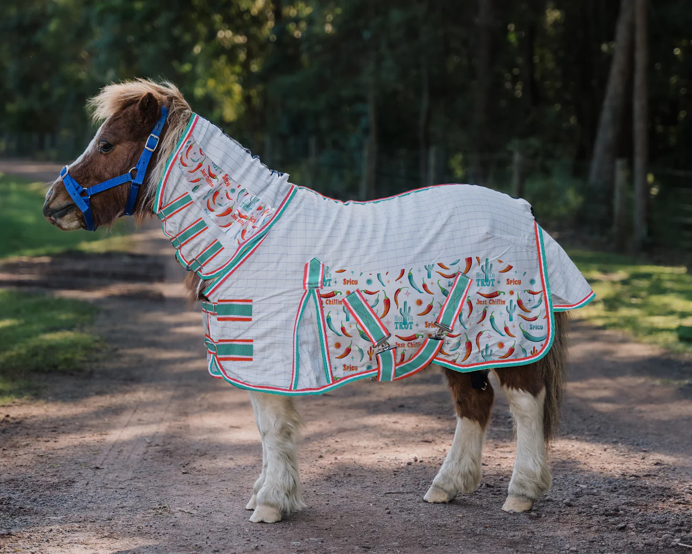 Kool Master Hybrid Tear-Stop Combo Mini Sizes - Hot to Trot