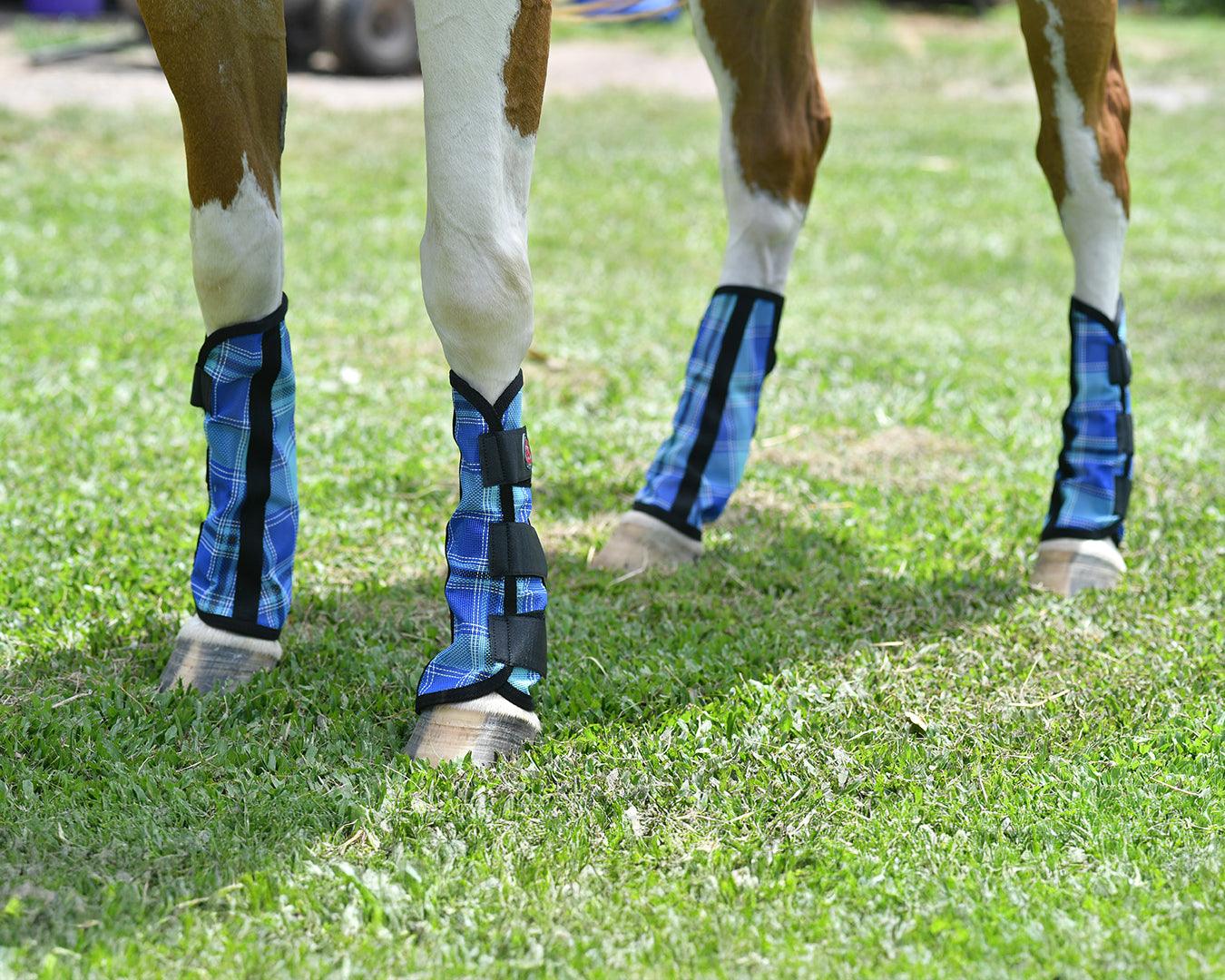 Kool Master PVC Mesh Fly Boots Blue - Set of 4 - Image 2