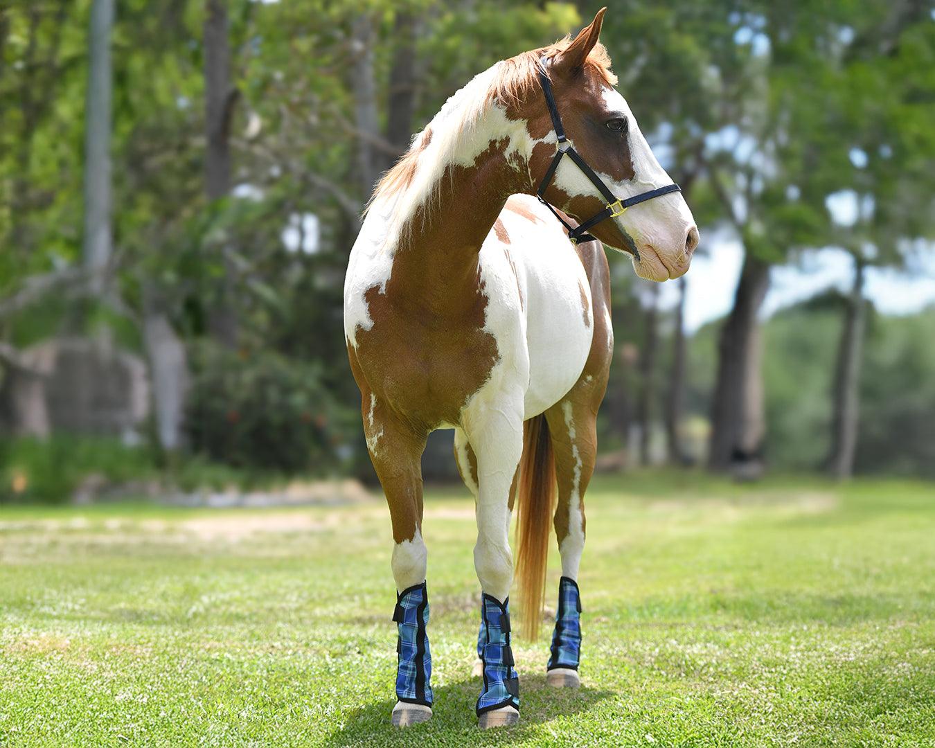 Kool Master PVC Mesh Fly Boots Blue - Set of 4 - Image 4