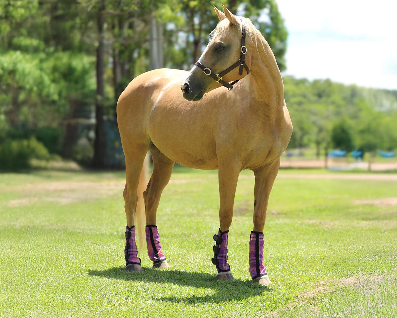 Kool Master PVC Mesh Fly Boots Pink - Set of 4 - Image 2