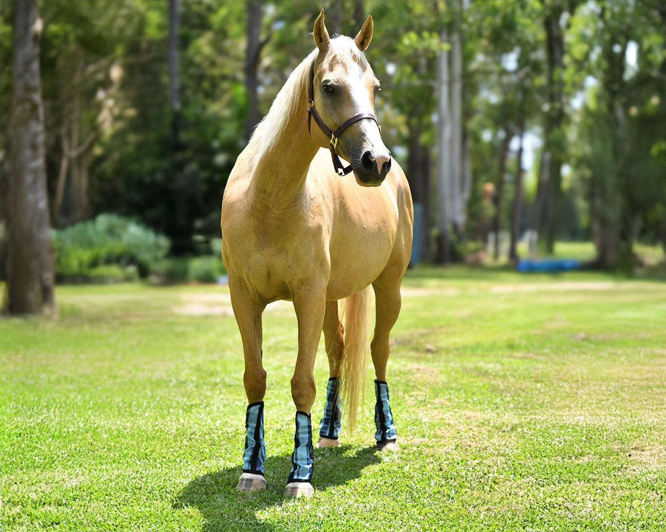 Kool Master PVC Mesh Fly Boots Turquoise - Set of 4 - Image 5