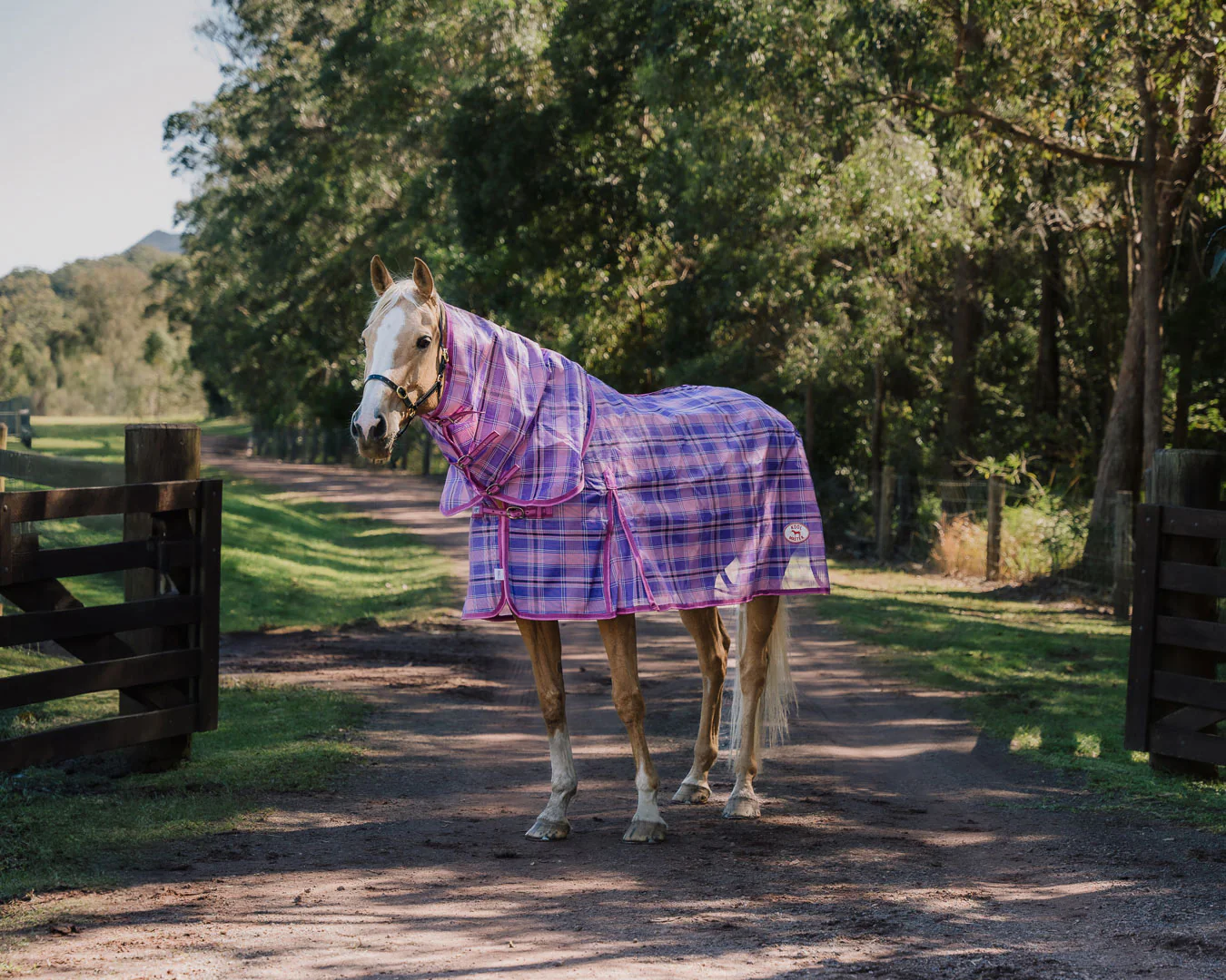 Kool Master PVC Shade Mesh Horse Rug Combo - Pink & Purple - Image 2