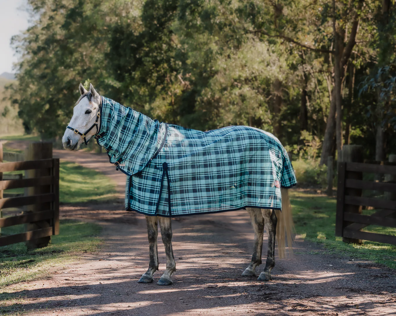 Kool Master PVC Shade Mesh Horse Rug Combo - Turquoise & Navy