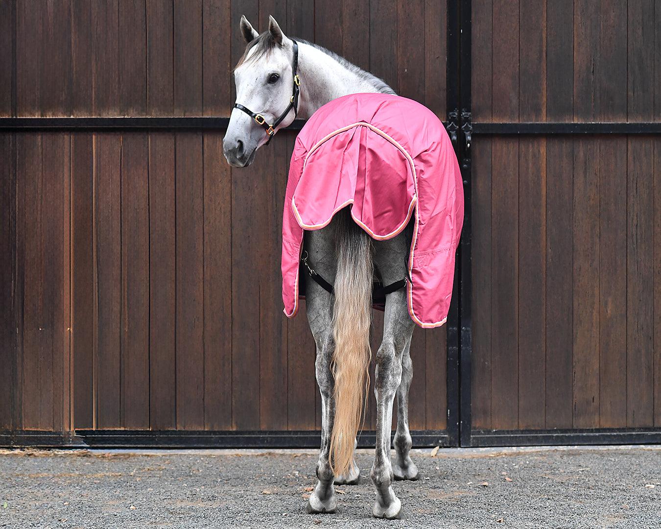 Kozy 600D 100G Fill Winter Rug - Mauve - Image 7