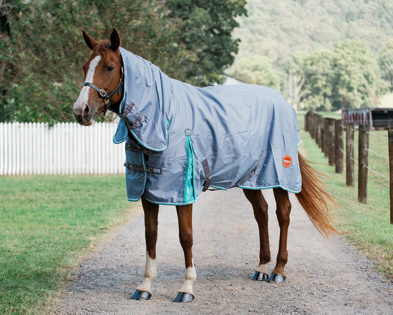 Kozy 600D 100G Fill Winter Rug Combo - Grey - Image 2