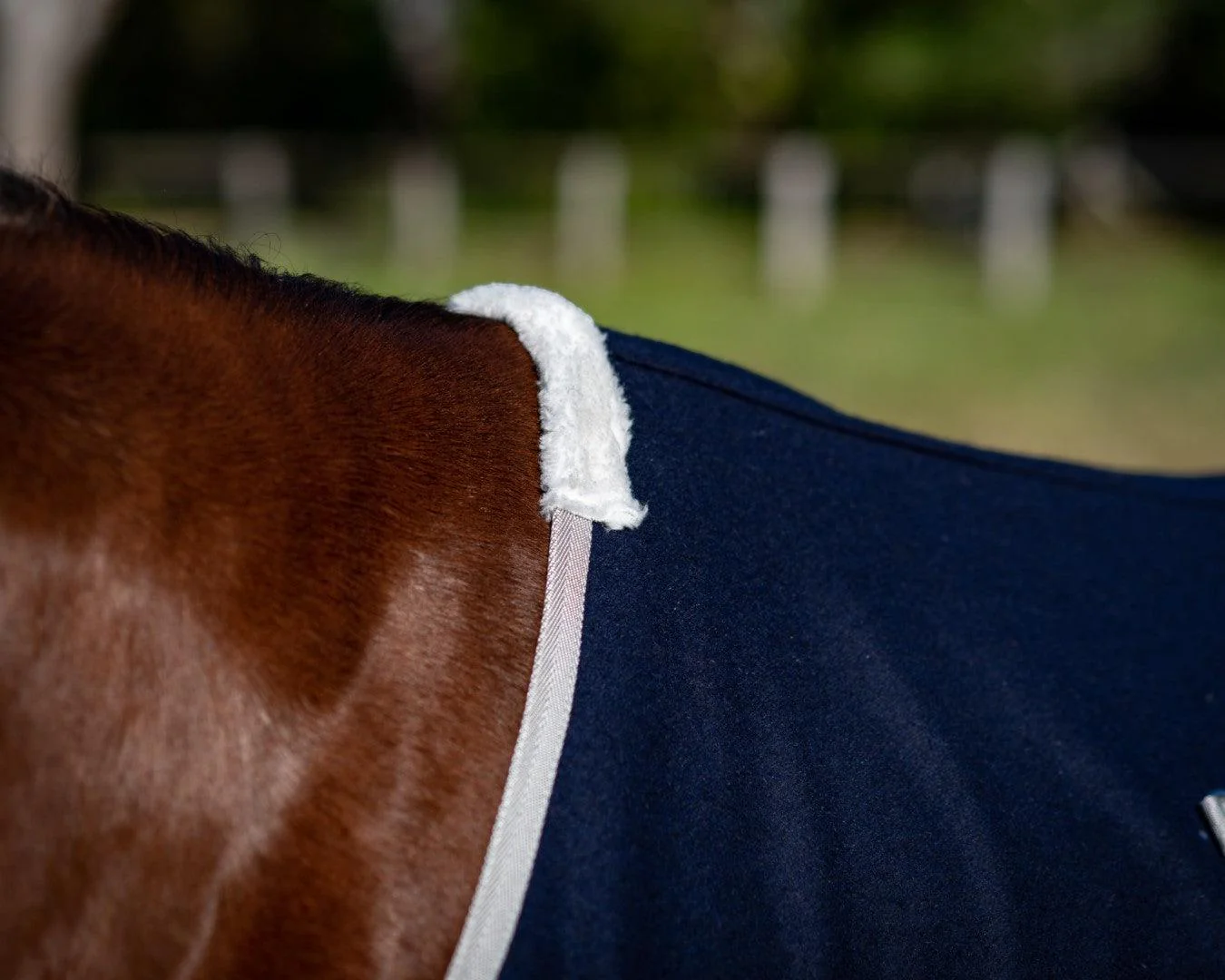Kozy Wool Kersey Horse Rug - Navy - Image 3