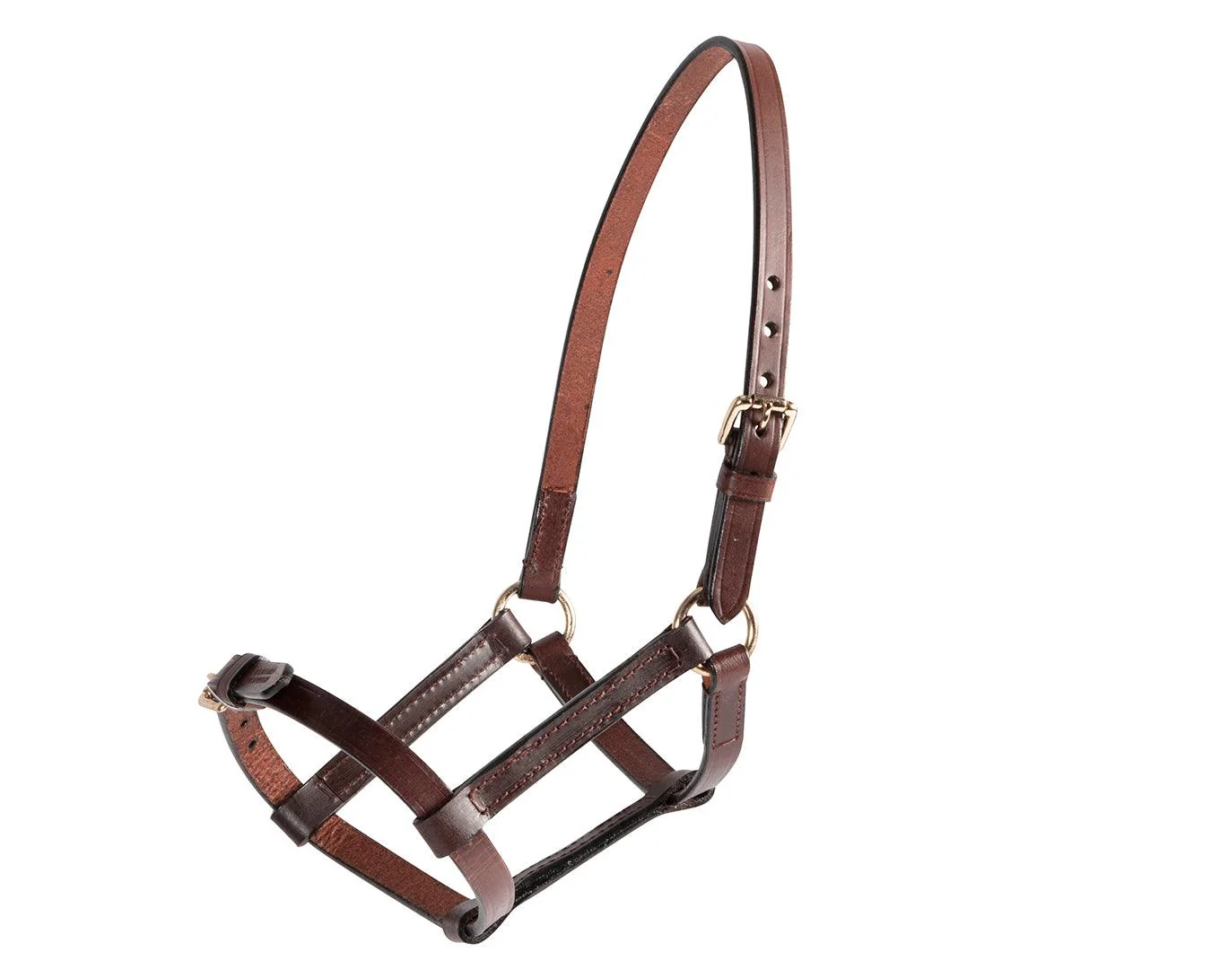 STC Leather Foal Halter - Brown
