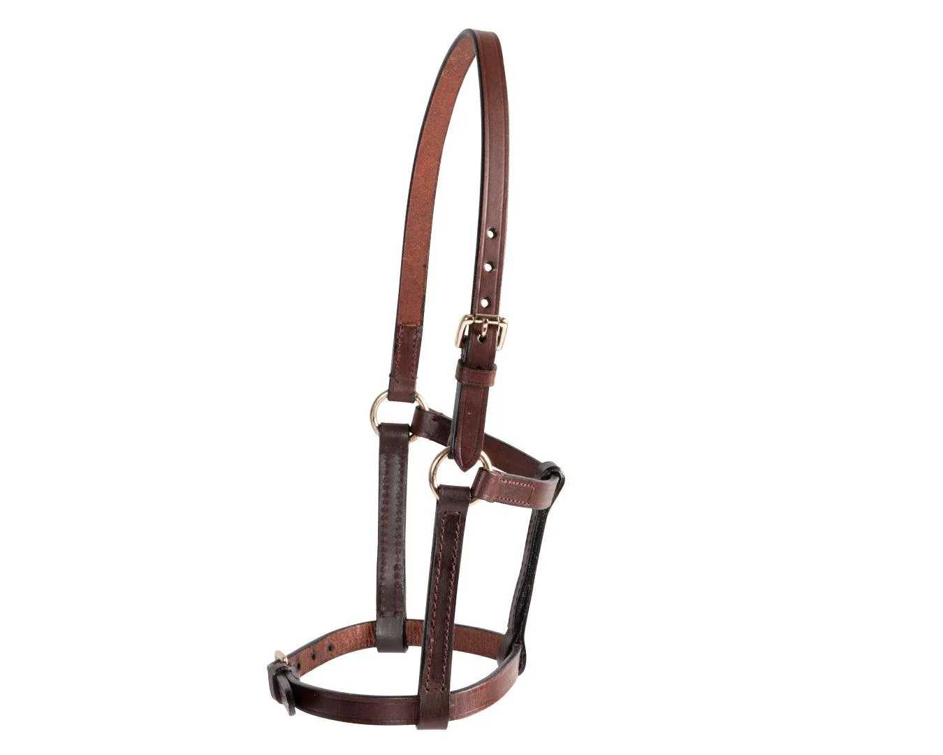 STC Leather Foal Halter - Brown - Image 3