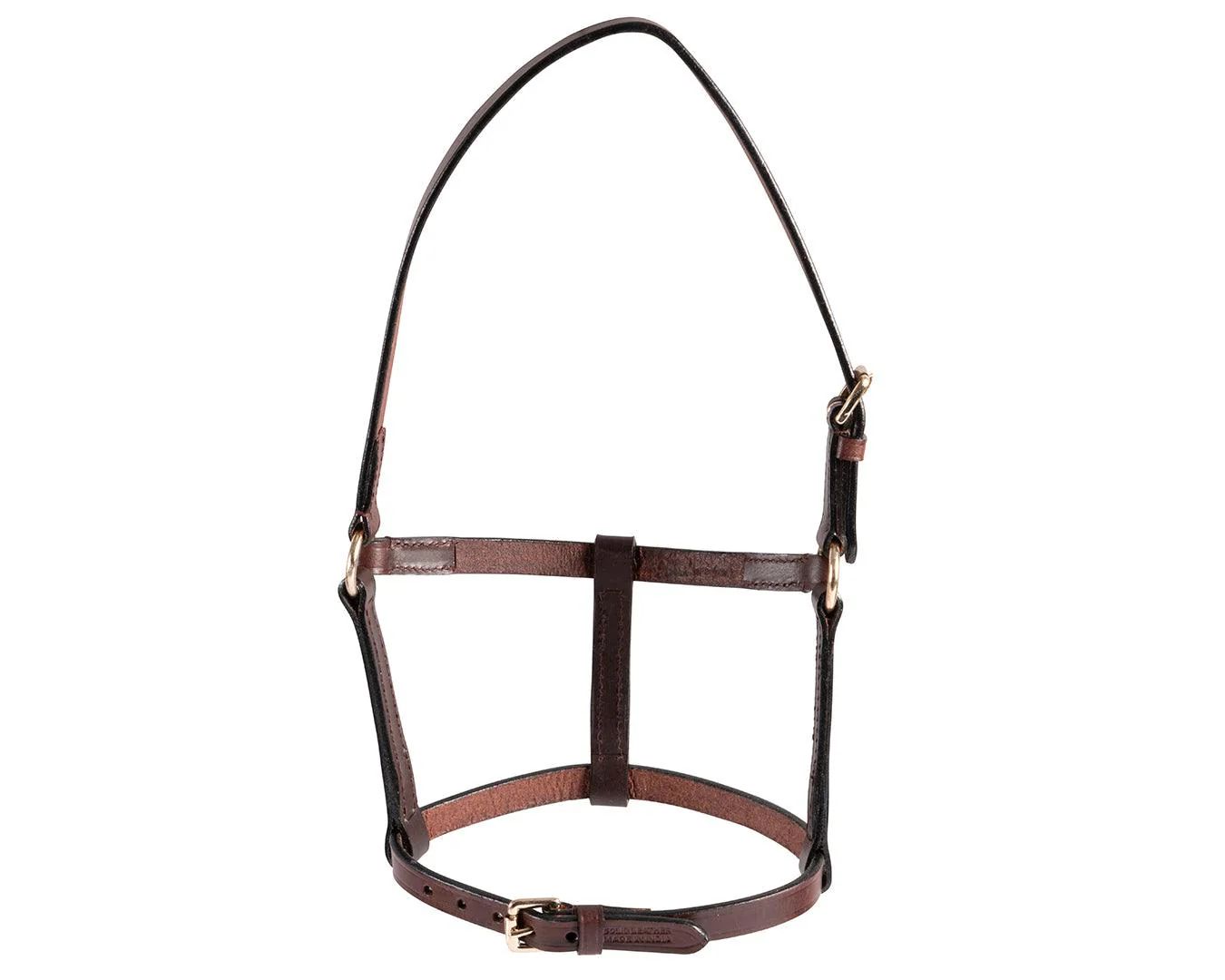 STC Leather Foal Halter - Brown - Image 4