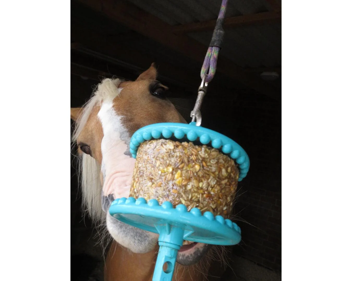 Likit Granola Horse Treat - Image 10