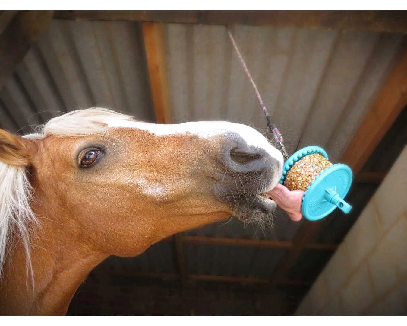 Likit Granola Horse Treat - Image 2
