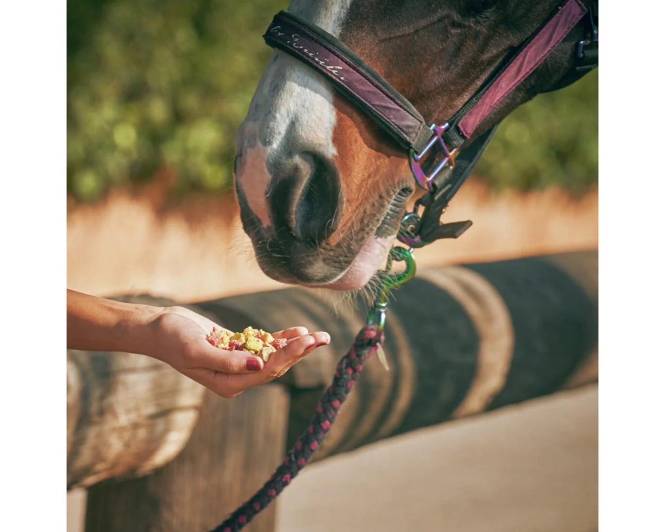 Likit Mint & Eucalyptus Snaks - 500G - Image 5