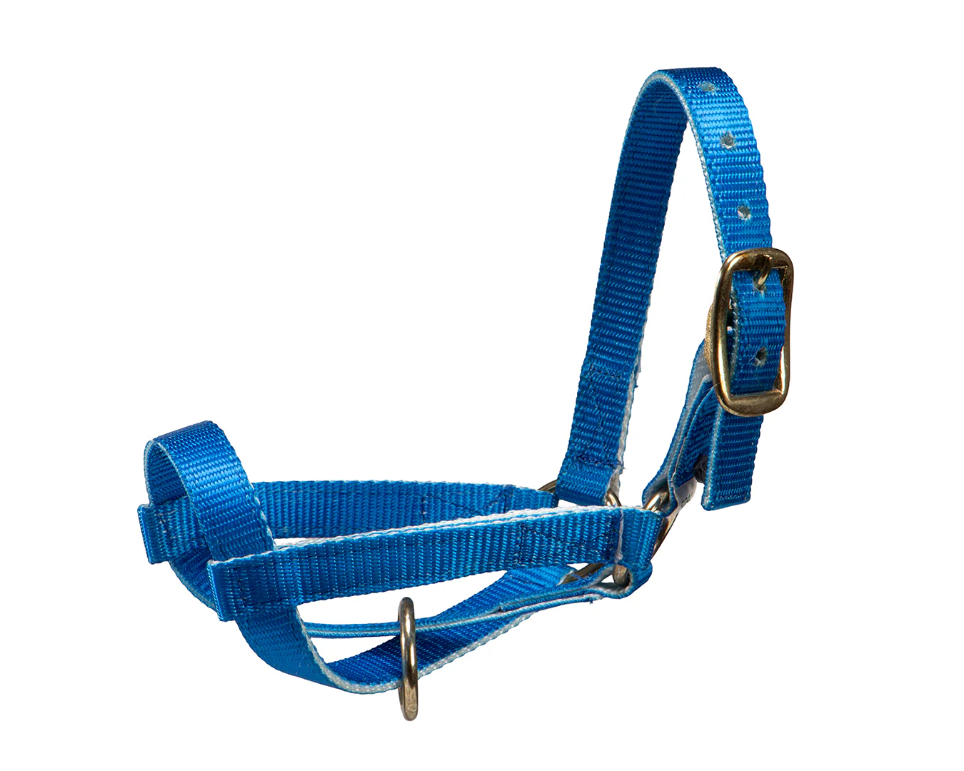 STC Nylon Livestock Halter - Image 5