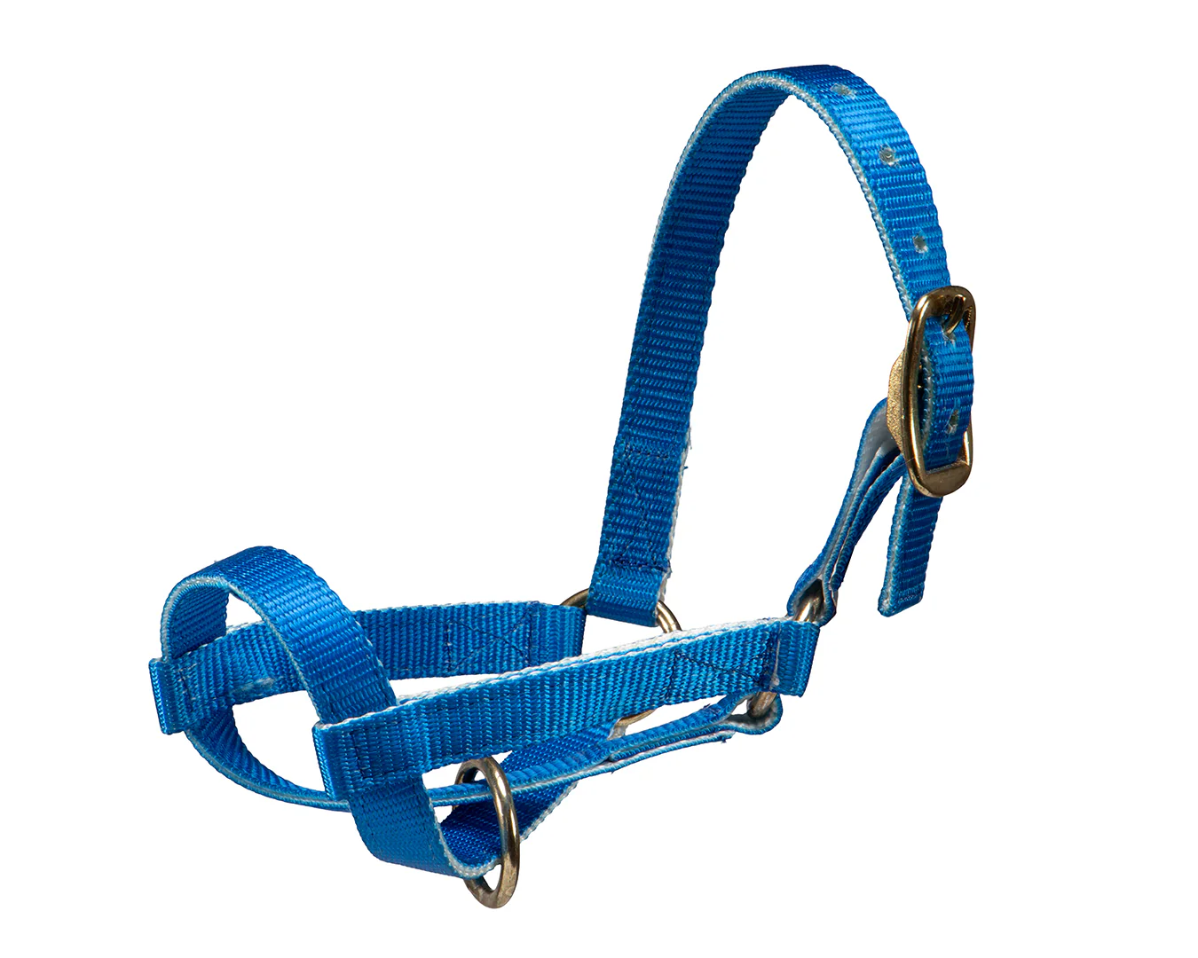 STC Nylon Livestock Halter - Image 6