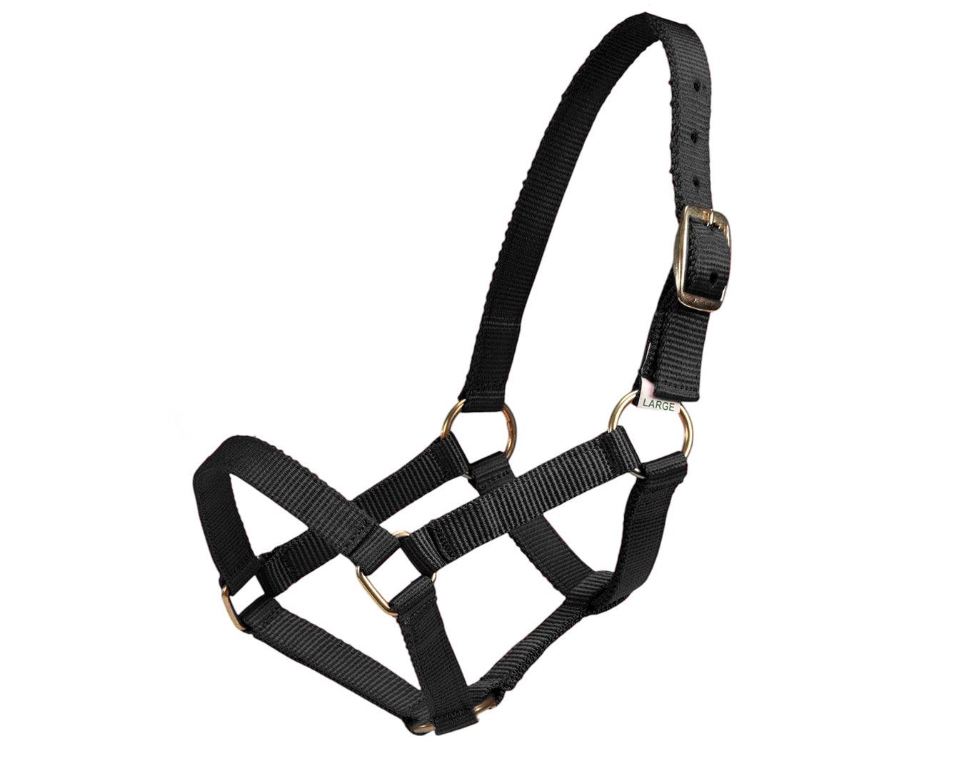 Piccolo Mini Horse PP Halter
