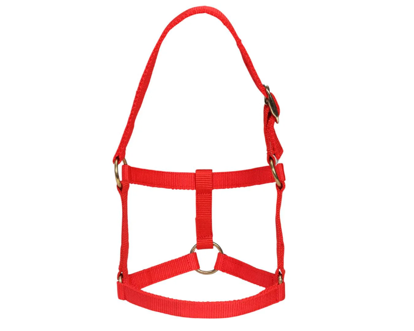 Piccolo Mini Horse PP Halter - Image 10